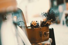 an old suitcase with flowers in it sitting on a chair