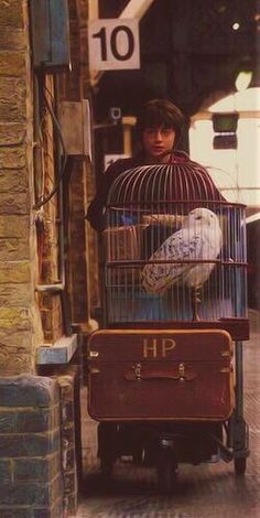 a person sitting in a birdcage with two birds on it's back