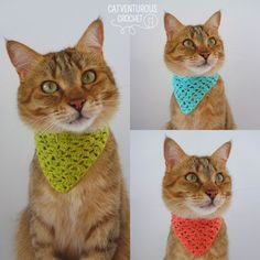 four pictures of an orange cat wearing a crocheted bandana and looking at the camera