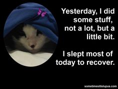 Oh, bullseye! It's so confusing...right when I think, 'hey, this new med or new dosage is working! I was able to wash dishes & clean a little--for 2 whole days in a row!' , then BAM! I'm down and can't get off the damned couch for another couple of weeks.Seriously, how can you tell when something is actually working? WTF??! Ehlers Danlos Syndrome, Adrenal Fatigue, Disease