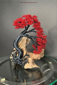 a bonsai tree is displayed on a glass table