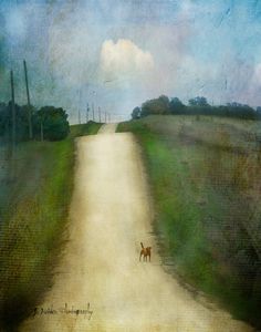 a dog walking down a dirt road next to a lush green field