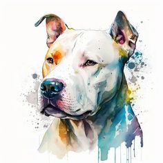 a painting of a dog's head with watercolor spots on it and the words,