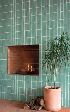 a potted plant sitting next to a fireplace in a green tiled room with blue tiles