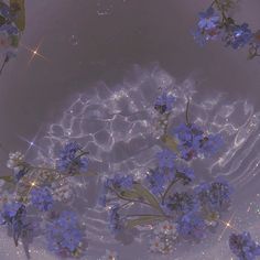 blue flowers floating in water with sparkles