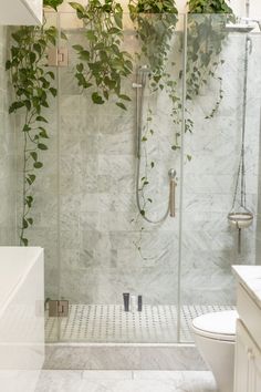 Bathroom shower with hanging plants and rainfall shower head Bathroom With Plants, Design Interior Baie, Marble Shower Tile, Shower Renovation, Natural Showers, Marble Showers, Plants Growing, Bathroom Plants