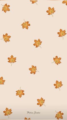 an image of autumn leaves on a white background