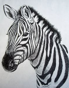 a black and white drawing of a zebra