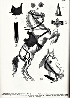 an old fashion drawing of a horse and its rider's saddles, hats, and other accessories