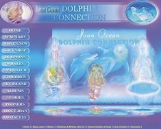 the dolphin connection website is shown