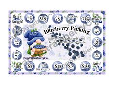 a blueberry picking poster with the words $ 5 per pound on it and an image of