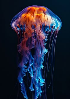 the jellyfish is glowing brightly in the dark water, and it looks like they are floating