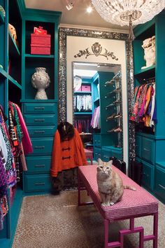 a cat sitting on a bench in front of a closet