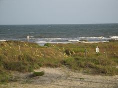 an ocean view with waves coming in from the shore and grass growing on the beach