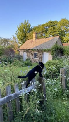 a black cat standing on top of a wooden fence next to a lush green field