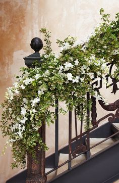 an iron railing with white flowers on it