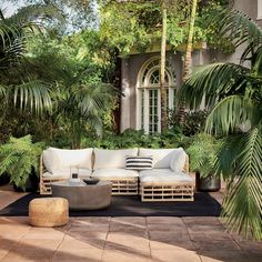 an outdoor seating area with palm trees and potted plants