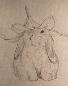 a pencil drawing of a bunny wearing a hat