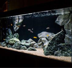 an aquarium with rocks and fish in it