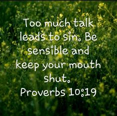 a green field with the words to much talk leads to sin be responsible and keep your mouth shut prove