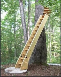 a wooden ladder leaning against a tree in the woods