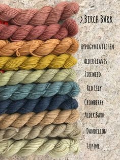 six skeins of yarn in different colors and sizes, with the names below them