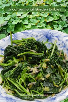 green vegetables are in a blue and white bowl