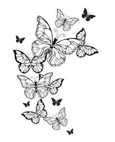 Butterfly Coloring Pages Butterfly Coloring Book for Adults | Etsy Tattoos On White Background, Background Tattoo, Butterfly Coloring Pages, Butterfly Tattoo Stencil, Butterfly Coloring, Tattoos Geometric, Butterfly Tattoo Designs