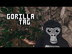 a gorilla in a black hoodie with the words gorilla tag on it