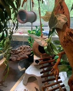 an assortment of plants and bird feeders on a window sill in front of a tree