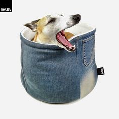 a dog sticking its head out of a denim pocket