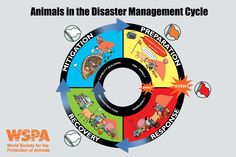 Disaster Management Project Cover Page, Natural Disasters Project File, Disaster Management Poster, Sst Project File Disaster Management, Natural Disasters Poster, Disaster Preparedness Poster, Cycle For Kids, Project Cover Page