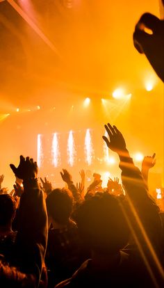 a crowd of people at a concert with their hands in the air and lights on