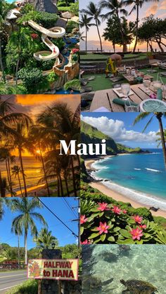 many different pictures with the words maui on them