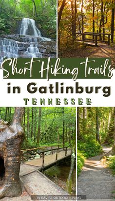 short hiking trails in gatlinburg tennessee