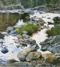 a painting of rocks and water in a stream with grass growing out of the rocks