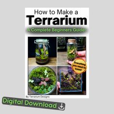 the book how to make a terrarium is shown with pictures of plants in jars