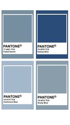 pantone's blue and gray color scheme