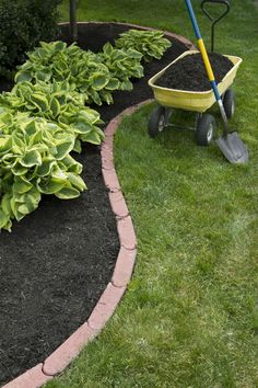 a wheelbarrow is sitting in the middle of a garden with green plants and mulch