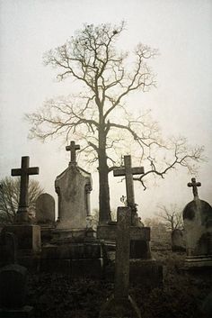 an old cemetery with tombstones and trees in the background on a foggy day