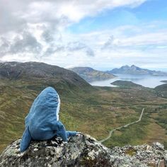 a blue stuffed animal sitting on top of a rock near the water and mountains in the distance