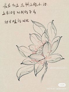 a drawing of a flower with chinese writing on it