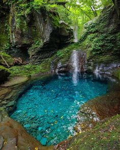 a small pool in the middle of a forest filled with trees and rocks, surrounded by greenery