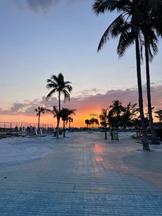 the sun is setting behind some palm trees on the beach in front of an ocean