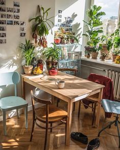 a dining room table surrounded by potted plants