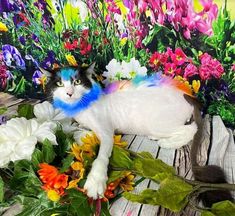 a cat laying on top of a wooden table surrounded by flowers and plants in front of a painting