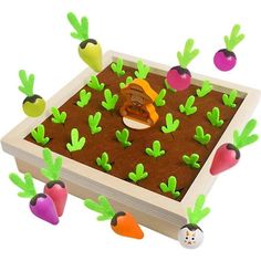 an image of a vegetable garden with carrots and radishes on the ground