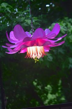 a purple flower hanging from a tree in front of green leaves and trees behind it