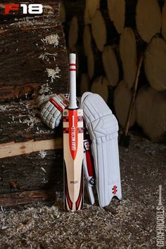 a cricket bat and helmet sitting next to each other in front of a pile of logs