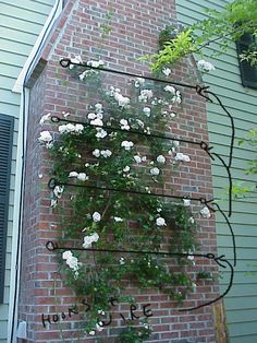 galvanized wire supports between eye bolts to support climbing rose on brick wall Roses Trellis, Climbing Roses Trellis, Rose Plant Care, Flower Trellis, Climbing Rose, Outdoor Climbing, Rose Wall, Contemporary Garden